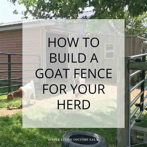 goat fencing plans